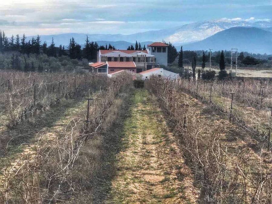 vineyards front the Chateau Kaniaris winery castle